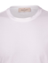 Picture of ORGANIC COTTON T-SHIRT