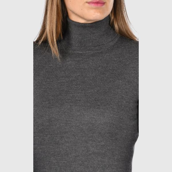 Picture of Merinos wool turtleneck