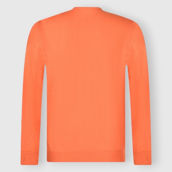 Picture of Cotton crew neck 