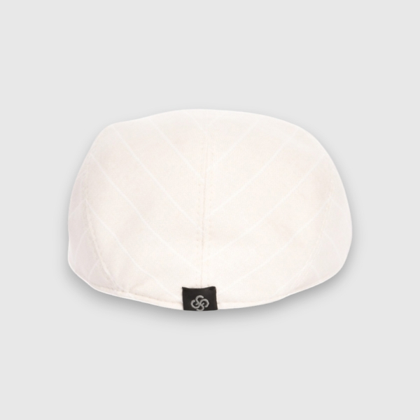 Picture of Pinstripe patterned flat cap