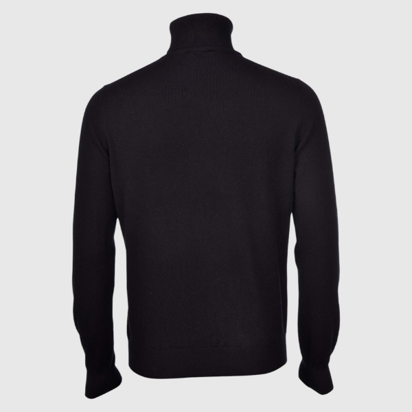 Picture of Cashmere turtle neck