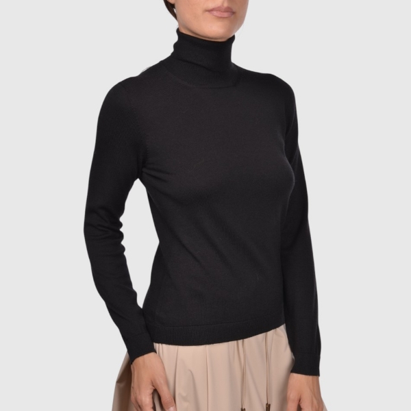 Picture of Merinos wool turtleneck