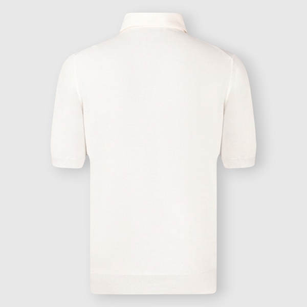 Picture of Shirt collar organic cotton knit polo